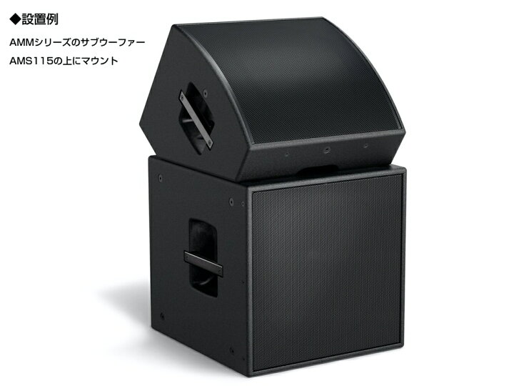 楽天市場】BOSE ボーズ AMM112 (1台) ◇ モニタースピーカー 12インチ 