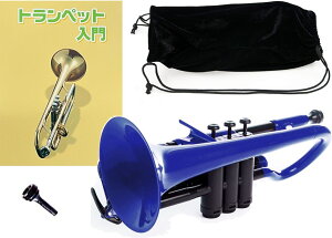PINSTRUMENTS PCORNET1B u[ Rlbg vX`bN PRlbg Ǌy ZbgB@ȉ͑Ήs kC    