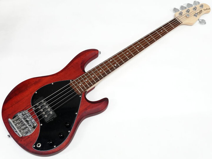 楽天市場】Sterling by Musicman RAY5 Walnut Satin ミュージックマン 