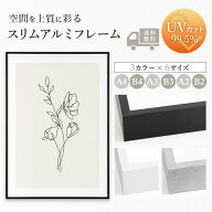 【送料無料】スリムフレーム 額縁 ポスターフレーム UVカット サイズ 壁掛け A4 B4 A3 B3 A2 B2 ブラック…
