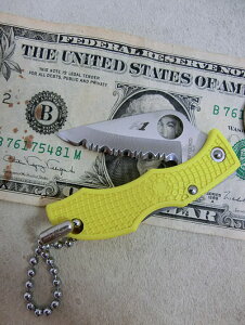 XpC_R Spyderco Lady Bug3 Salt fB[oO3 \g gn@L[z_[ XeX|