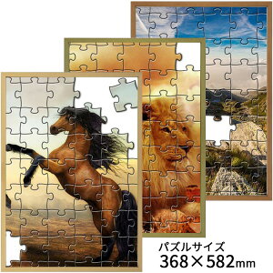 WO\[pYz BH-W01F ANt z@(KpY̑傫):368×582~ pYt[ pY z z t[ pYp WO\[pY WO\[ CeA   i