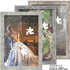 WO\[pYz APS-05 ANt z@(KpY̑傫):210×297~ A4 pYt[ pY z z t[ pYp WO\[pY WO\[ ubNX^C C