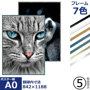 T25 /841×1188(A0) [^ziB] UVJbgANt |X^[z |X^[t[ |X^[ z z A~ Vv ׂ v