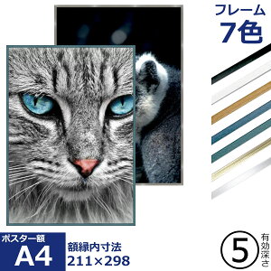 T25 /211×298(A4) UVJbgANt |X^[z |X^[t[ |X^[ z z A~ Vv ׂ v