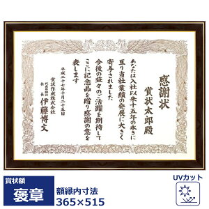 ネオ光輝 UVアクリル付 365×515(褒章)の賞状用 額縁外寸:約415×565 賞状 額 額縁 安価 安い 軽量 軽い uvカット樹脂製 国産 表賞状 卒業証書 認定証 許可証 感謝状 記念品 贈答
