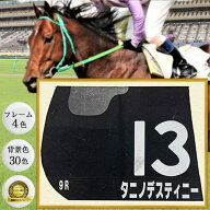 競馬ゼッケン専用額 6700N UVカット強化型アクリル付 /額外寸:約563×745 額内寸:545×727(大全紙) 競馬…
