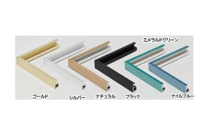 T25 C (600×300mm) fbTz ʊz 󒍐Yi Vo[ S[h ubN i` Chz