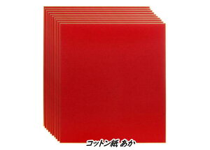 Rbg  F 10 JY(s) S100-005