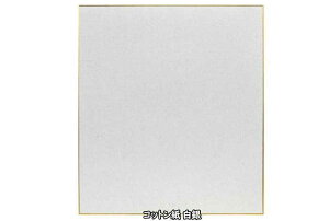 Rbg  F 10 JY(s) S100-026