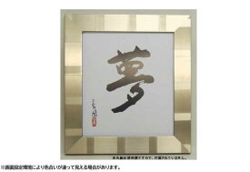 ローレル（ロワール）　8×9　S(シャンペンゴールド)　色紙額　限定特価品 色紙額 色紙額縁 (242×273mm) 普通色紙サイズ　日本製　激安特価　オシャレ　モダン　難有り