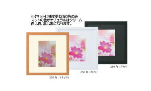 v[kXNGA 250p 250×250mm fbTz fbTz t[ ` AEgbg _CZ X^ht Vi   XNb`A[g