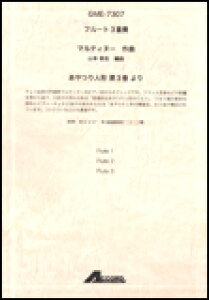 y@}eBk[^l`3it[g3dtj GME-7307^Fl.3^T:5'20''^O[h2