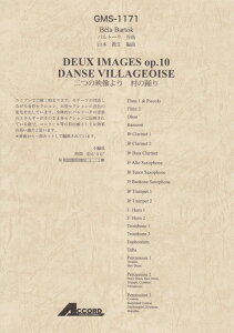 y og[N/̉f ̗x(GMS-1171/ty Ґ/T:06'30''/G3.5)