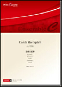 y@ECB-0001@͓cށ^Catch the spiriti5dtj ǃATu^ՓxFC^tԁF405b