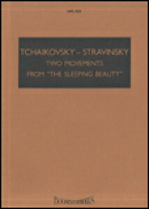 y `CRtXL[/uX̔v2̊y(y225479z/48009601/X^fBEXRA(c:26cm/:18.3cm)/Ay(T))