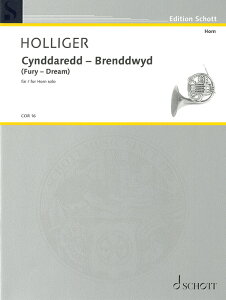 �y���@�n�C���c�E�z���K�[�^Cynddaredd - Brenddwyd�iFury - Dream�j 49028128�^�z�����E�\���^�A���y���iT�j