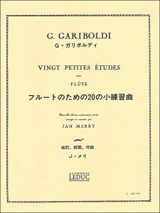 y@K{fB^t[ĝ߂20̏K(1032272^AL5865^t[g{^AyiTj)