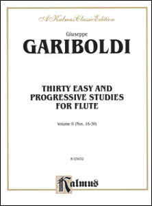 y@K{fB^30̈ՂQiIȗK 2iNo.16-30j(K03432^t[g{^AyiTj)