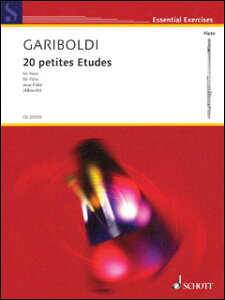 y@K{fB^t[ĝ߂20̏K(49017670^ED20355^t[g{^AyiTj)