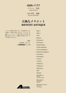 y F/ÕȃkGbg(GMS-1177/ty Ґ/T:6'20)