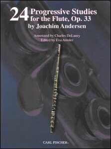 y AfZ/24̒iKIK i33(y531230z/WF84/t[gE\/Ay(T))