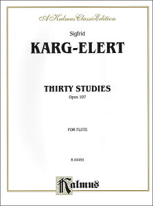 y J[N=G[g/30̗K (30̊zK) i107 yFlute Soloz(y156439z/K04491/t[gE\ (t)/Ay(T))