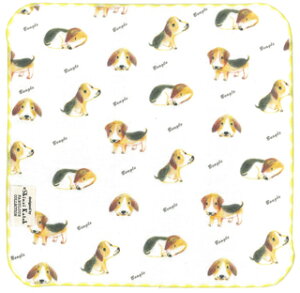 SKTC152-01@̂ہE^I`[t^r[Oiy851z@TCYFc230×230mm^fށF100@K[[Q^YnF{iB^Ijj