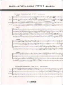 �y���@�g���I�\�i�^�`���y�̕�������(2�{�̃t���[�g�ƃA���g�t���[�g�̂��߂�)