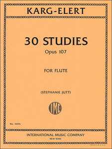 y@JNG[g^30̗K(z) i107(t[g{ (t)^AyiTj)