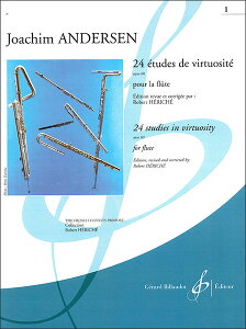 y@AfZ^24̋ZIIK i60 1(y1029245z^MRB1428^524-00019^t[g{^AyiTj)