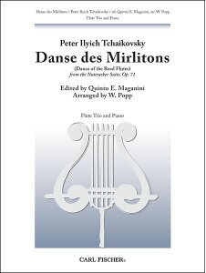 y@`CRtXL[^u݊l`v舯J̗xit[gOdt̂߂̕ҋȁj(GYW00074362^W1345^t[g^AyiYj)