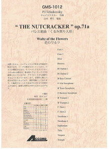 y `CRtXL[/oGg(GMS-1012/ty Ґ T:06'30'')