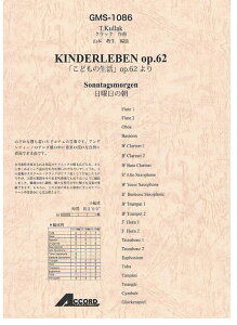 y NbN/uǂ̐vOP.62 j̒(GMS-1086/ty Ґ)