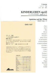 y NbN/uǂ̐vOP.62 쌴ŗV(GMS-1087/ty Ґ)