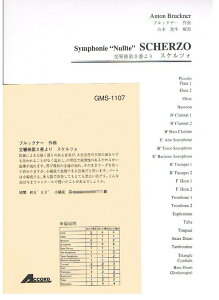 y  0ԂuXPcHv/ubNi[(GMS-1107/ty Ґ T:8'00''/G3)