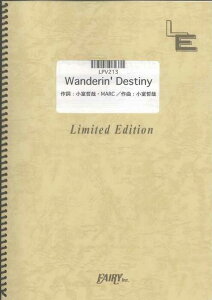 �y�� Wonderin' Destiny/globe(LPV213/�s�A�m&���H�[�J��/�I���f�}���h)