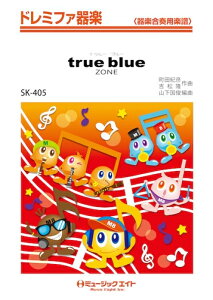 y SK405 true blue/ZONE(2003NuSrAgve[})(h~t@y/G3/G/If}h̔)
