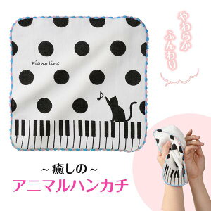 [y] Pianoline@QK[[nJ`i˂Ɛʁjy10,000~ȏ㑗z(sAmClVK[[nJ`lRg~Y^})