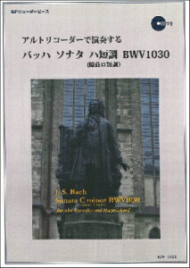 [y] RP@AgR[_[ŉt@obn@\i^@nZ@BWV1030y10,000~ȏ㑗z(RPAgR[_[fG\EXobn\i^n^`EBWV1030)