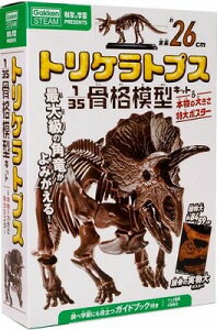 [] ȊwƊwKPRESENTS@gPgvX1^35i͌^Lbg{̑傫|X^[y10,000~ȏ㑗z(gPgvX1/35RbJNPCLbg&z)