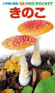 [] ̂y10,000~ȏ㑗z(LmR)