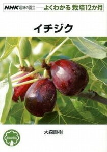 [] C`WNy10,000~ȏ㑗z(C`WN)