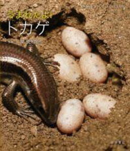 [] ܂ꂽI@gJQy10,000~ȏ㑗z(E}^gJQ)