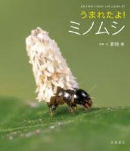 [] ܂ꂽI@~mVy10,000~ȏ㑗z(E}^~mV)