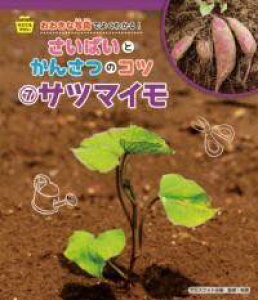 [] Tc}Cy10,000~ȏ㑗z(Tc}C)