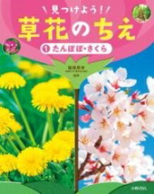 [書籍] たんぽぽ・さくら【10,000円以上送料無料】(タンポポサクラ)