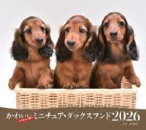 [] 2026NJ_[ 킢~j`AE_bNXthy10,000~ȏ㑗z(jZjWENlJ_[JCC~j`A _bNXth)