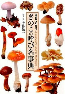 [] ̂̌ĂіT@ʐ^ł킩y10,000~ȏ㑗z(LmRmriWe)