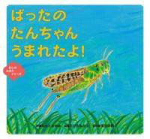 [] ΂́@񂿂@܂ꂽIy10,000~ȏ㑗z(ob^m^`E}^)